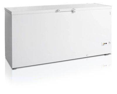 Ларь морозильный FR605 SL Tefcold (DFBU)033400 фото