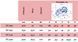 Професійний слайсер FY 250 GT Celme (тефлон) (AGCV)034640 фото 2