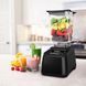 Профессиональный блендер DESIGNER 625 Blendtec, гранат (AW)032763 фото 2