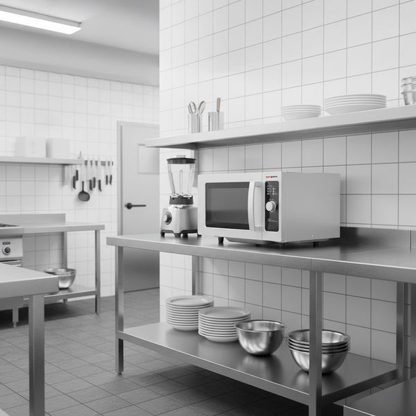 Профессиональная микроволновая печь MWM2510 GGM Gastro (BI)031742 фото