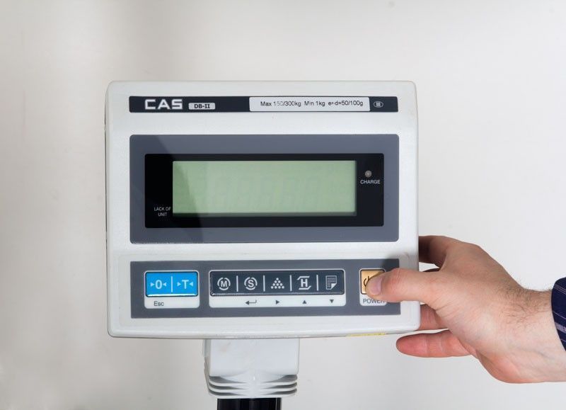 Весы напольные DB II-300 CAS (товарные) 500х600 (BA)030375 фото