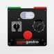 Промышленный тестомес со съемной дежой TMP33-KA-N GGM GASTRO (2 скорости) (BI)031930 фото 6